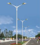 220V工程款灯杆市电接线道路灯 含预埋件基础