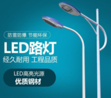 50W 100W 单臂 双臂LED路灯 道路照明 户外高杆灯具