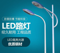 50W 100W 单臂 双臂LED路灯 道路照明 户外高杆灯具